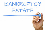 bankruptcy estate