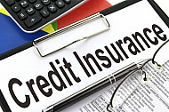 Credit Insurance