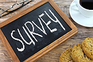survey