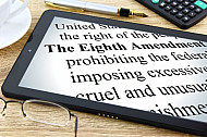 The Eighth Amendment