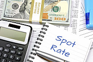 spot rate