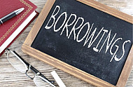 borrowings 1
