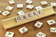 Obese