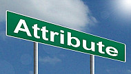 Attribute