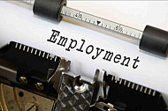 Employment