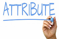 attribute