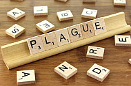 Plague