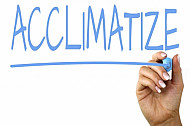 acclimatize