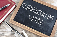 curriculum vitae
