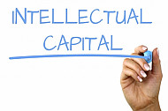 intellectual capital