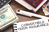 convertible term assurance