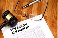 the eighth amendment
