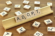 Adopt