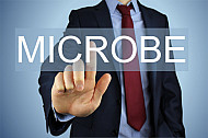 microbe