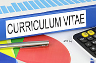 curriculum vitae