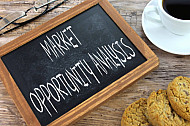 market opportunity analysis