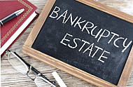 bankruptcy estate