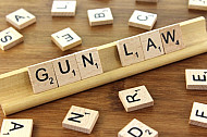 Gun Law