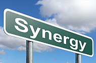 Synergy