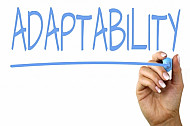 adaptability