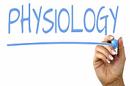 physiology