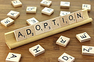 Adoption