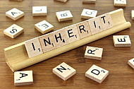Inherit