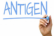 antigen