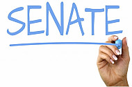 senate