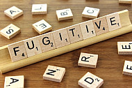 Fugitive