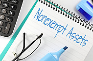 nonexempt assets