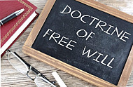 doctrine of free will