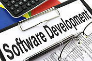 Software Developer