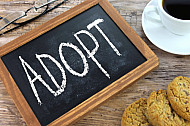 adopt