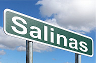 Salinas