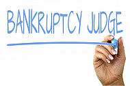 bankruptcy judge