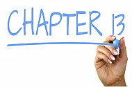 chapter 13