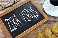 zika virus