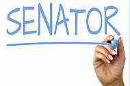 senator