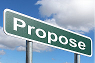 Propose