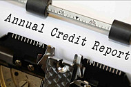 Annual Credit Report