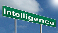 Intelligence