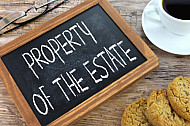property of the estate
