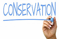 conservation